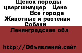 Щенок породы  цвергшнауцер › Цена ­ 30 000 - Все города Животные и растения » Собаки   . Ленинградская обл.